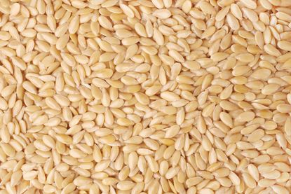 Sesame Seeds