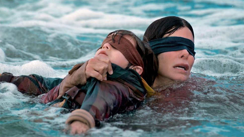 Bird Box