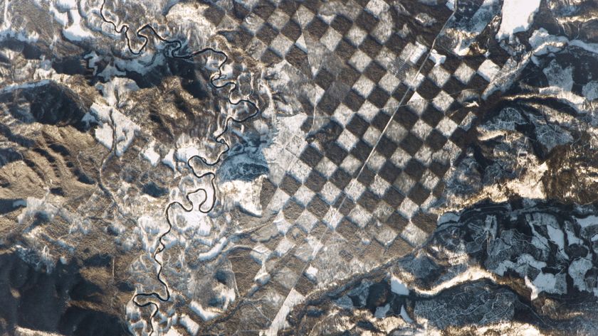 A satellite photo of a chessboard -like pattern in a forest in Idaho