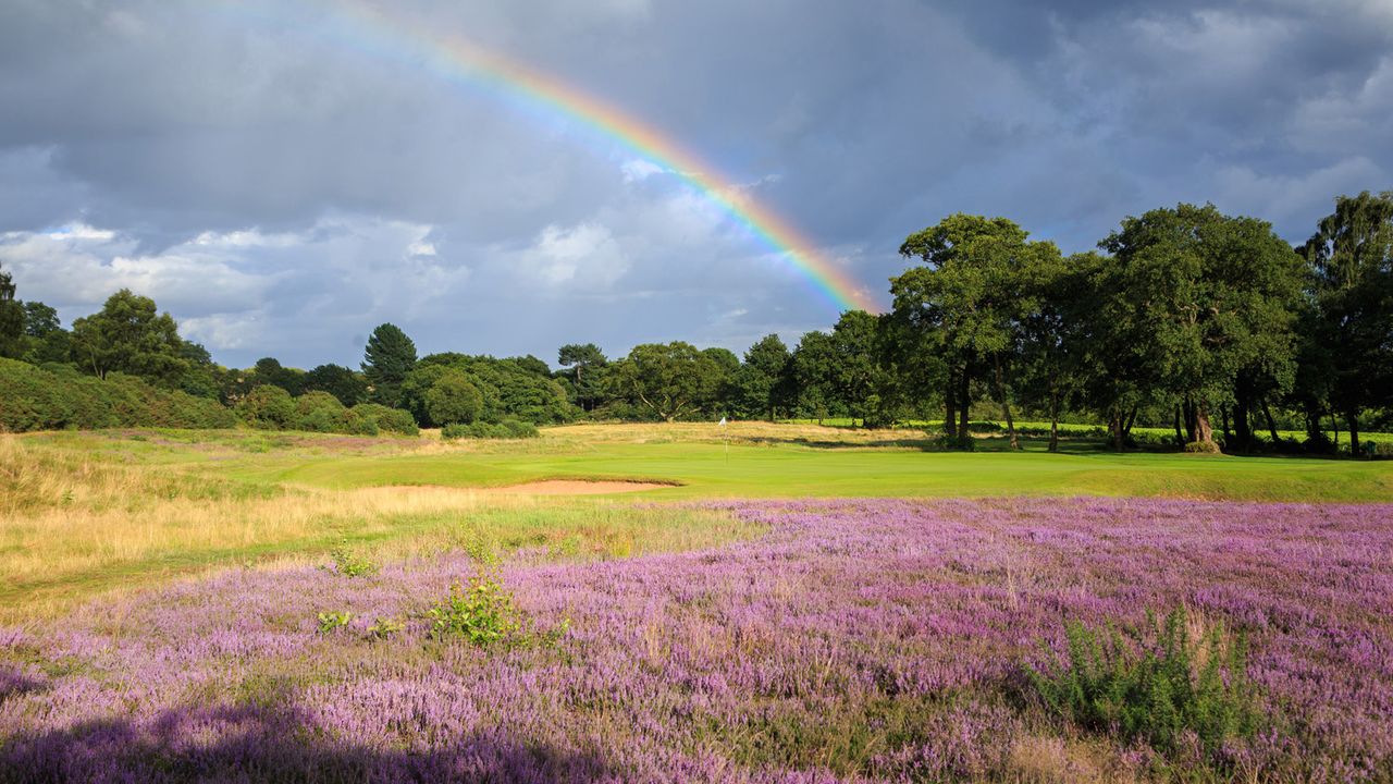 Hollinwell - Hole 9