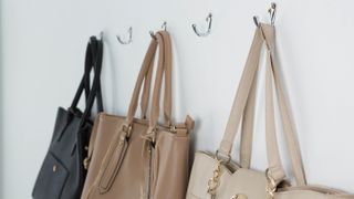Handbags on a wall