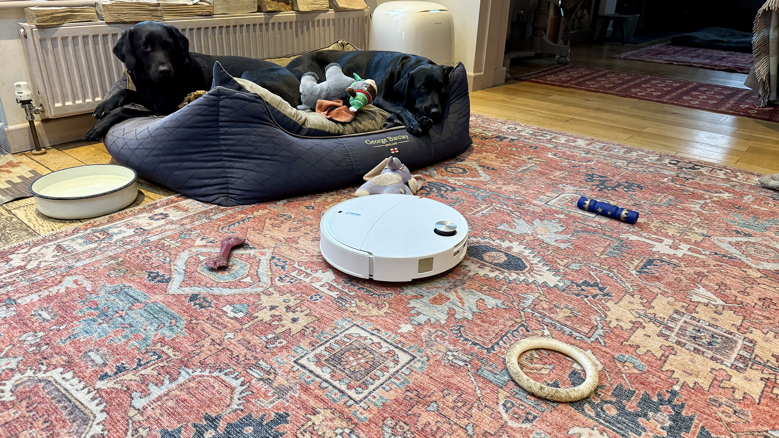 Roborock Qrevo Curv 2 Pro avoiding obstacles including a wire and dog toys, on a patterned rug