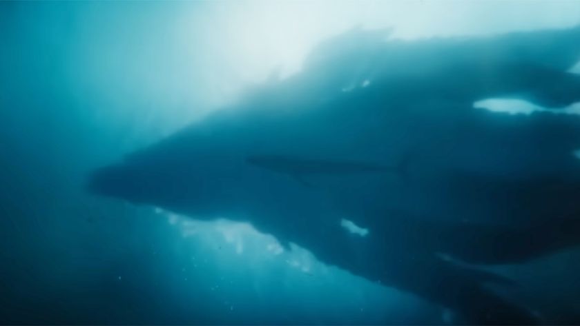 The silhouette of the massive new kaiju Titan X