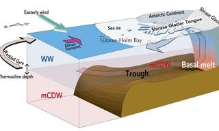 A graphic shows how warm water swoops up to melt the Shirase Glacier Tongue from below