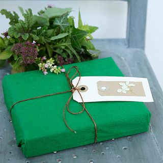 gift with green paper wrap and gift tag
