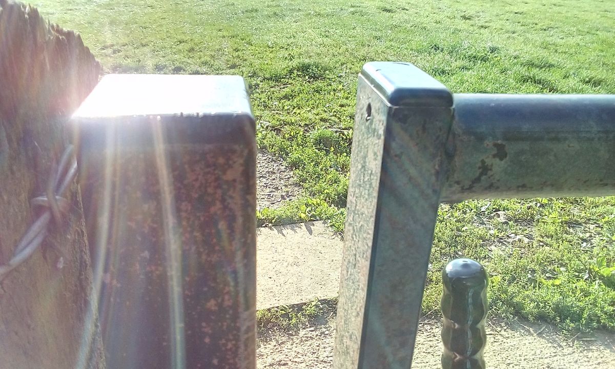 The camera struggles to focus on close-up objects