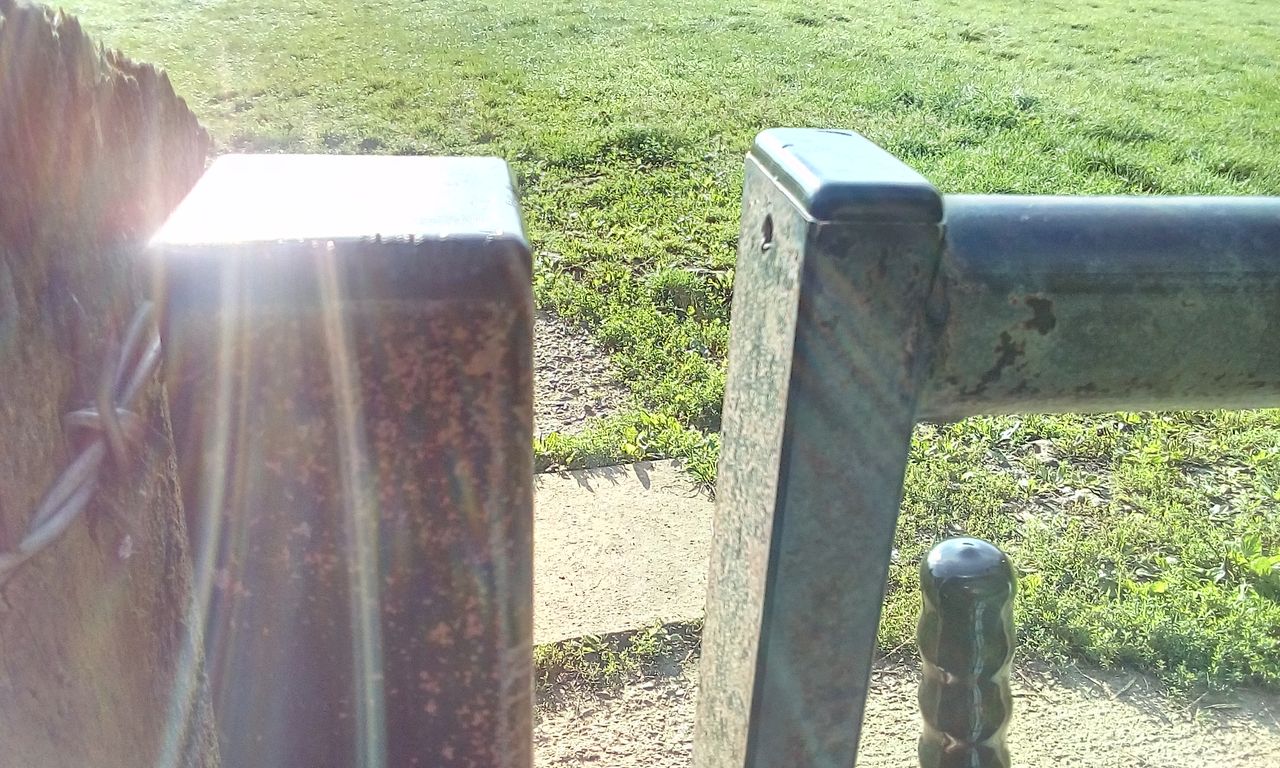 The camera struggles to focus on close-up objects