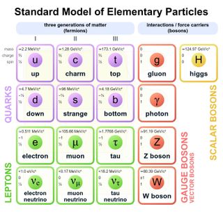 The Standard Model of particle physics describes the particles that make up the mass and forces of the universe.