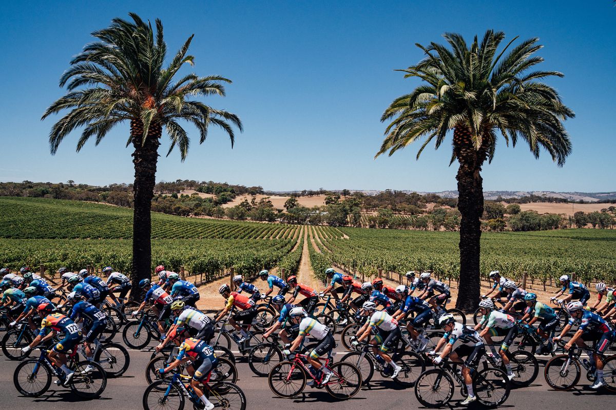 The peloton on stage 2 of the 2025 men&#039;s Tour Down Under