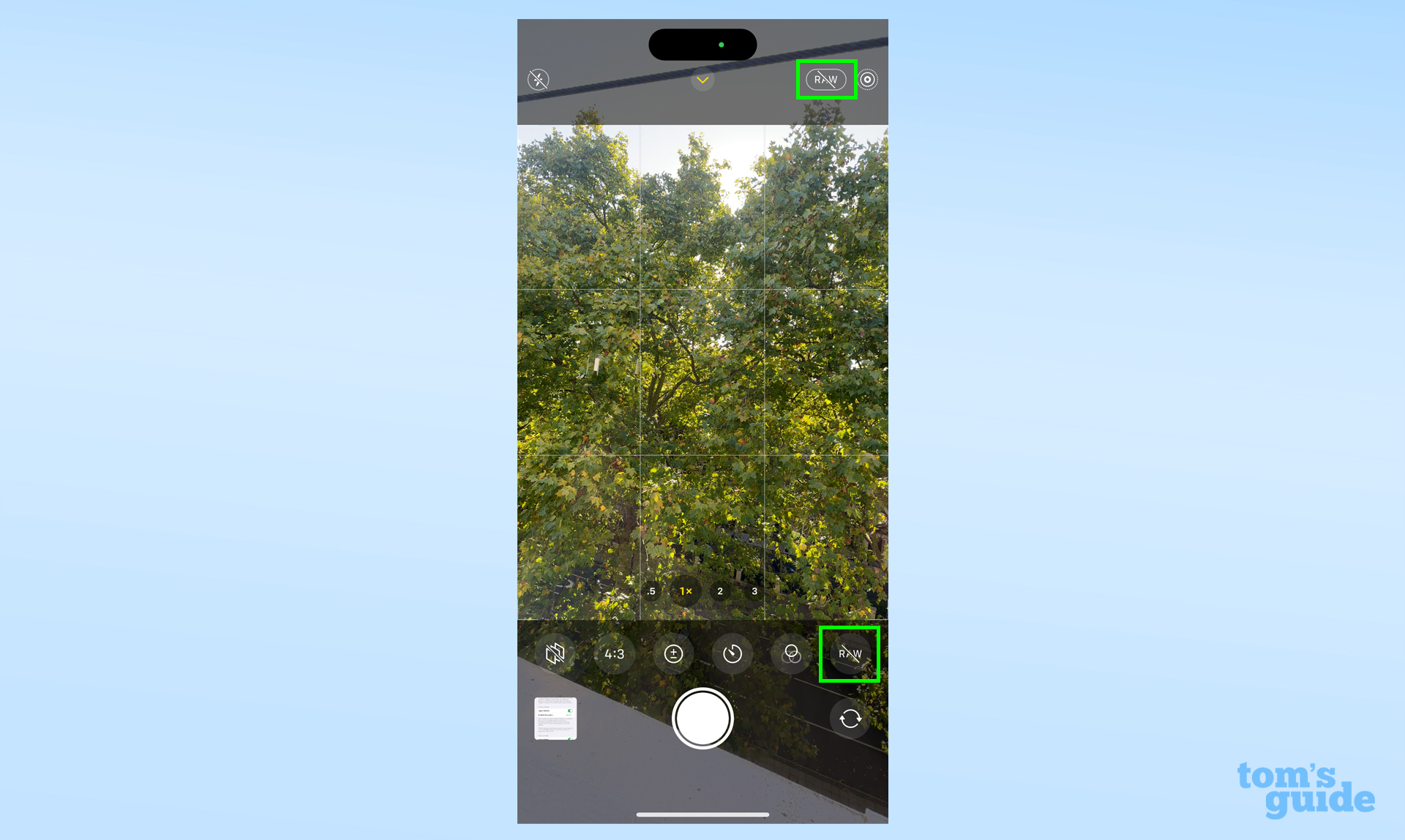 Скриншот приложения камеры iPhone, показывающий, где включить режим RAW