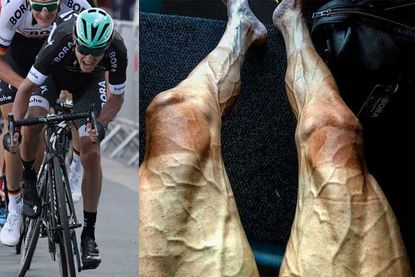 Here s the science behind why Tour de France rider s legs are so