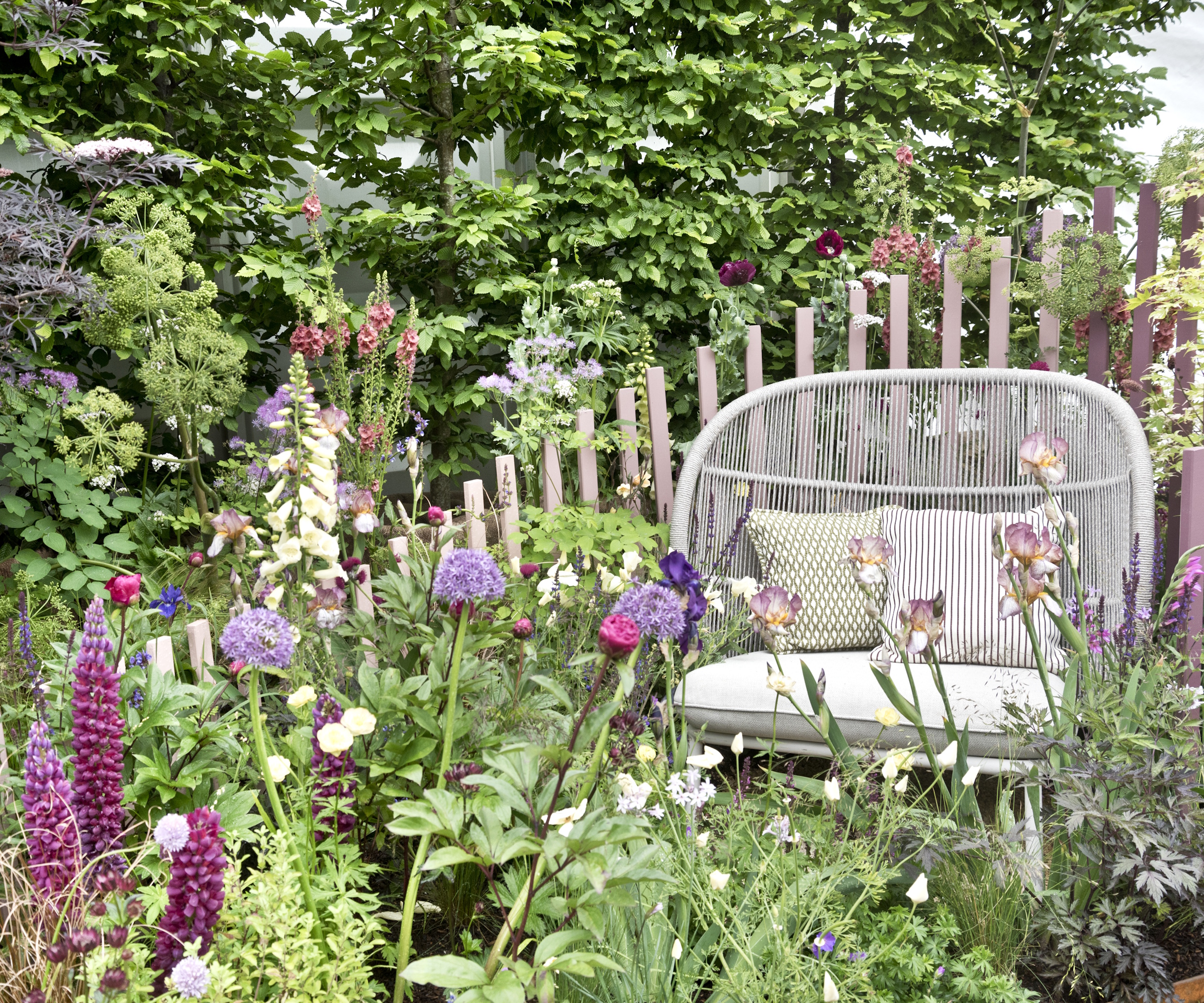 Wildflower planting Chelsea Flower Show 2024