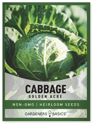 winter cabbage seeds