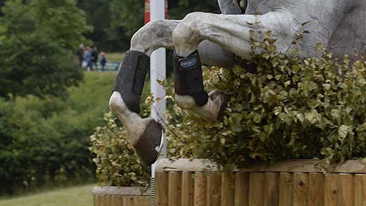 Los Angeles 2028 Olympics: equestrian sport listed for inclusion, but decisions still to be made regarding disciplines for all sports