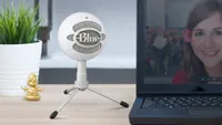 The best cheap gaming microphone: Blue Snowball Ice