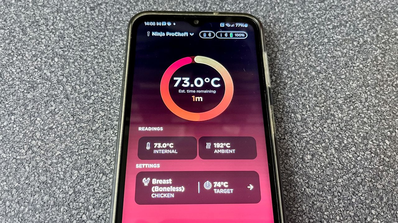 Ninja Pro Chef wireless meat thermometer