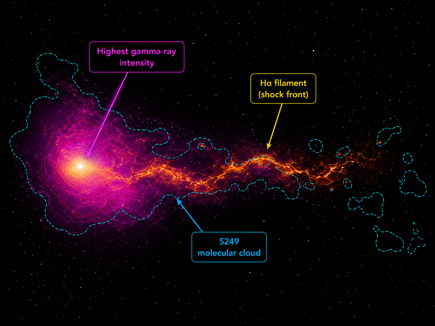 Labeled diagram of segments of a supernova.