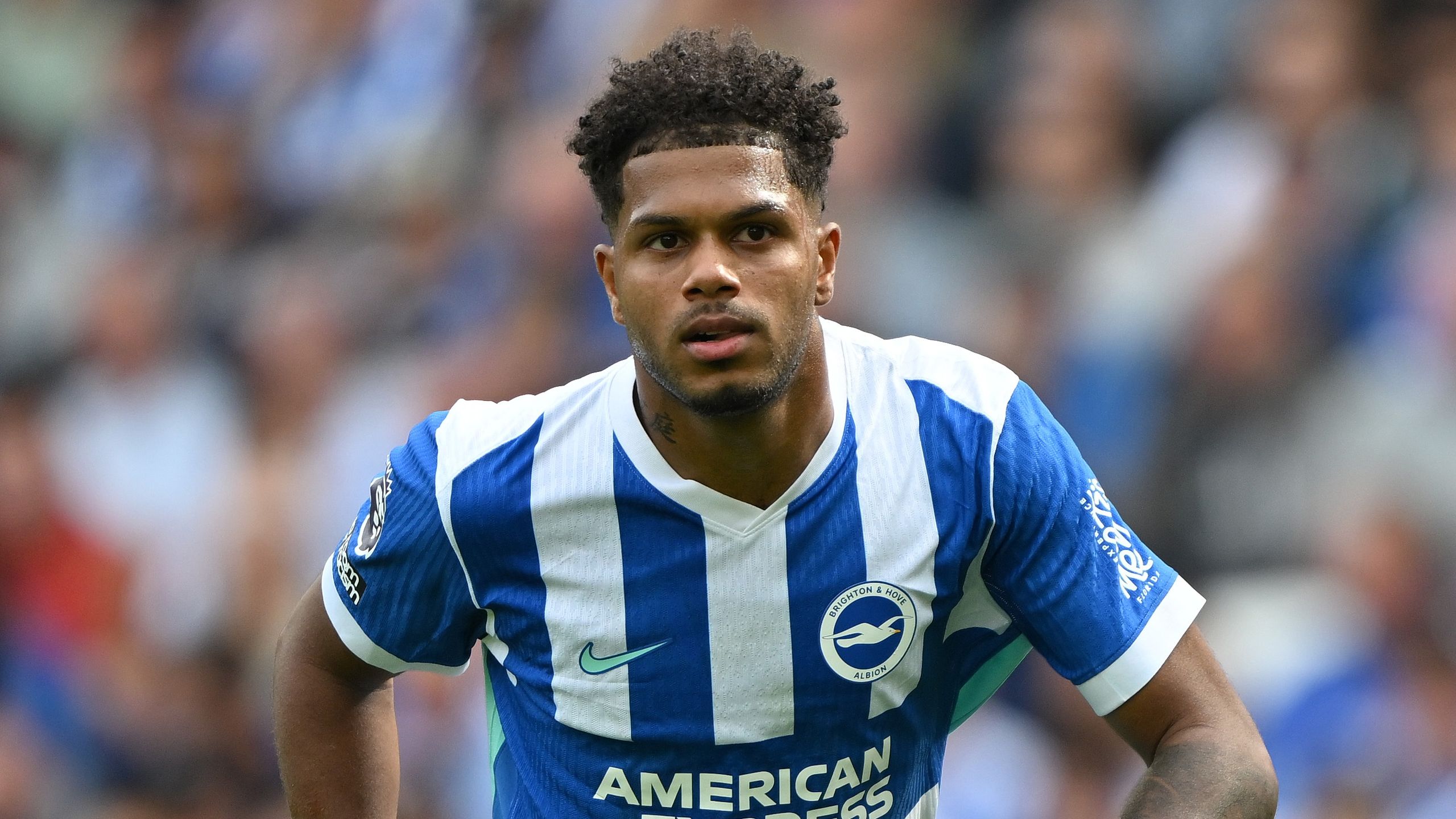 Brighton vs Leeds nasıl izlenir: Premier Lig 2025/26 canlı