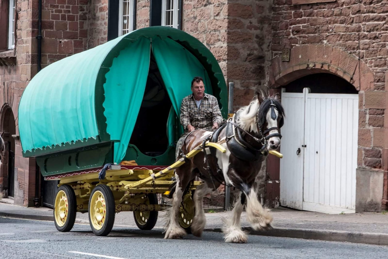 Woodie pulling a wagon with his former owner Gary David