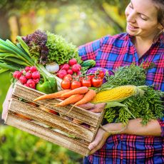 Female gardener in checked shirt holds crate of freshly harvested vegetables