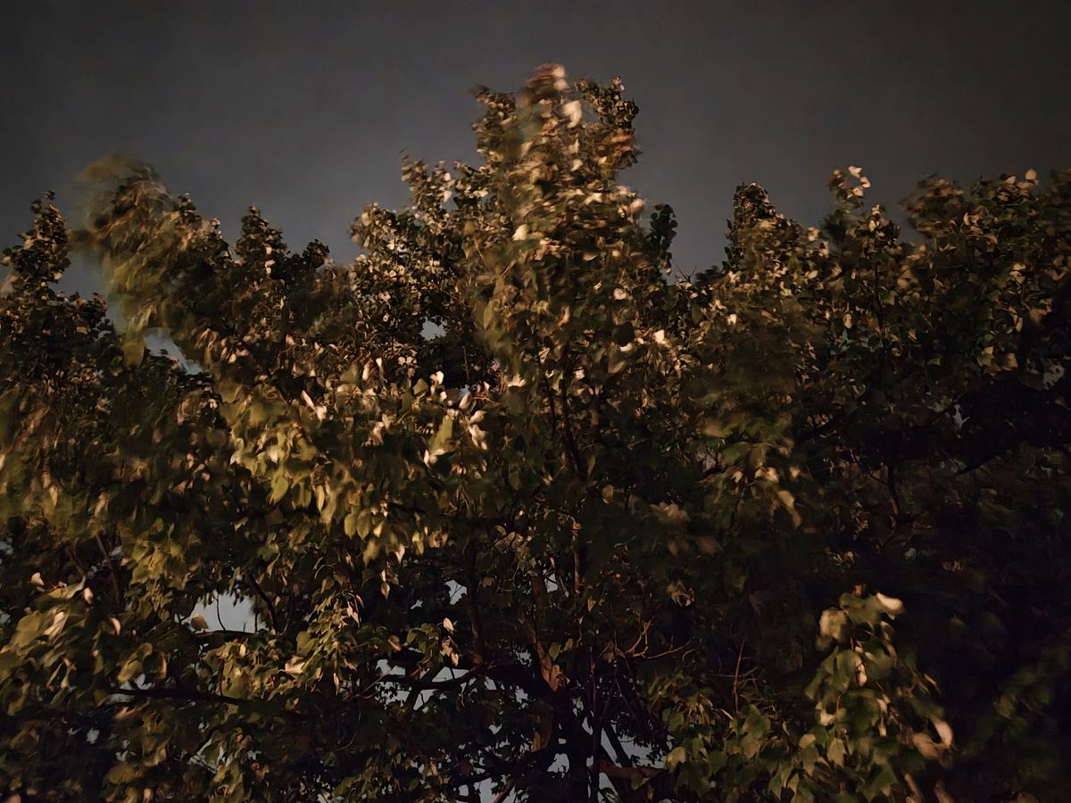Motorola Razr Plus 2024 low light sample.