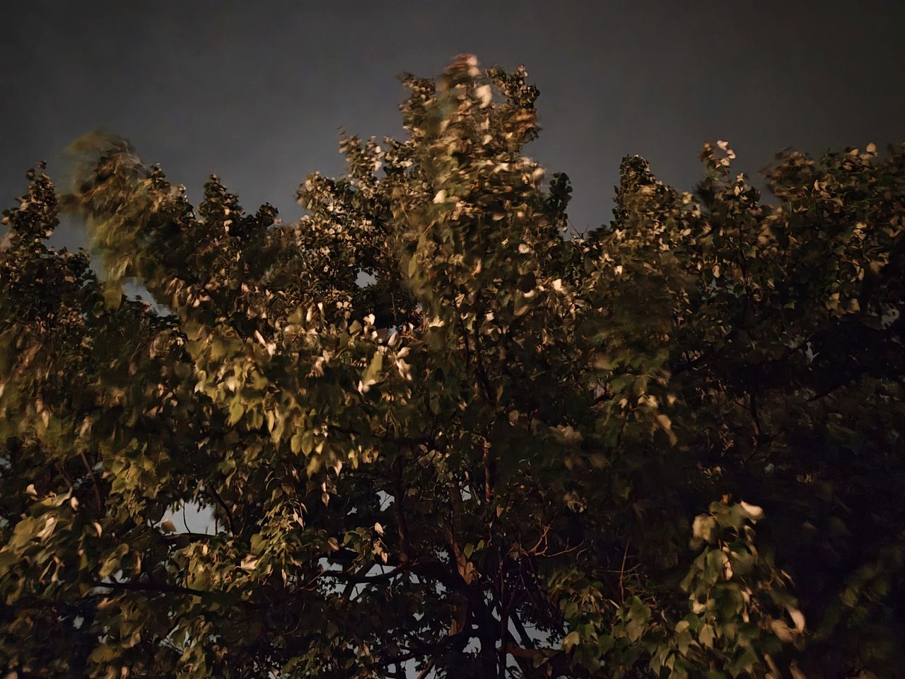 Motorola Razr Plus 2024 low light sample.