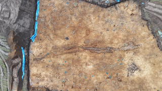 Aerial photograph of an archaeological site consisting of a ring of post holes on the light brown ground.