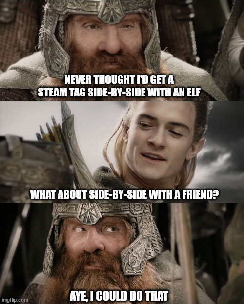 Never thought I'd get a Steam tag side-by-side with an elf. What about side-by-side with a friend? Aye, I could do that.