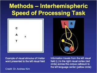 NYU researchers developed an experimental task that evaluates how well the two hemispheres of the brain communicate with each other. This example shows a word presented during the task (left) alongside a diagram of how visual information travels from the eye to the visual-processing center, and finally to the language-processing center.
