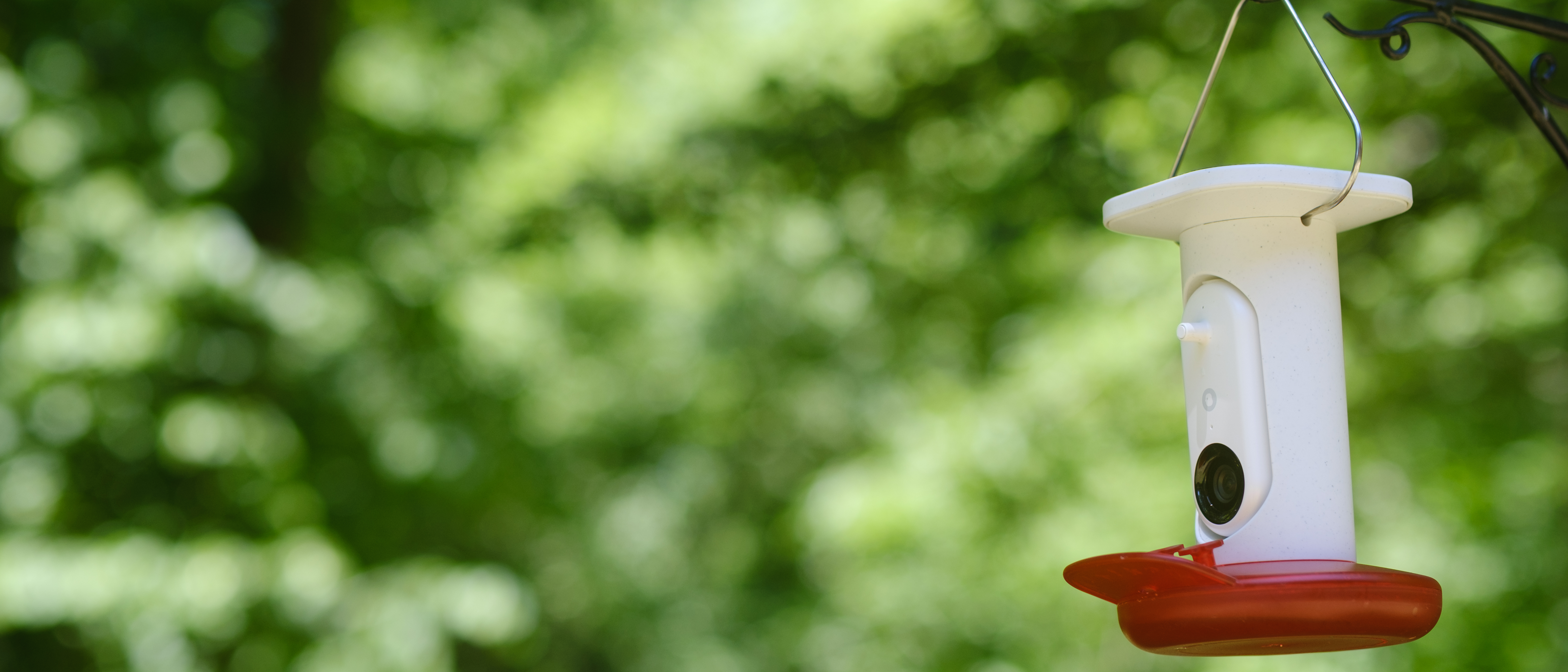 The Bird Buddy Smart Humming Bird Feeder photographed outdoors