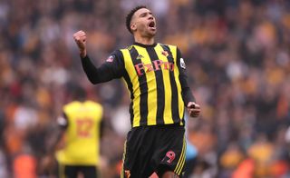 Capoue went on to become a key player for Watford
