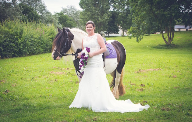 animal wedding