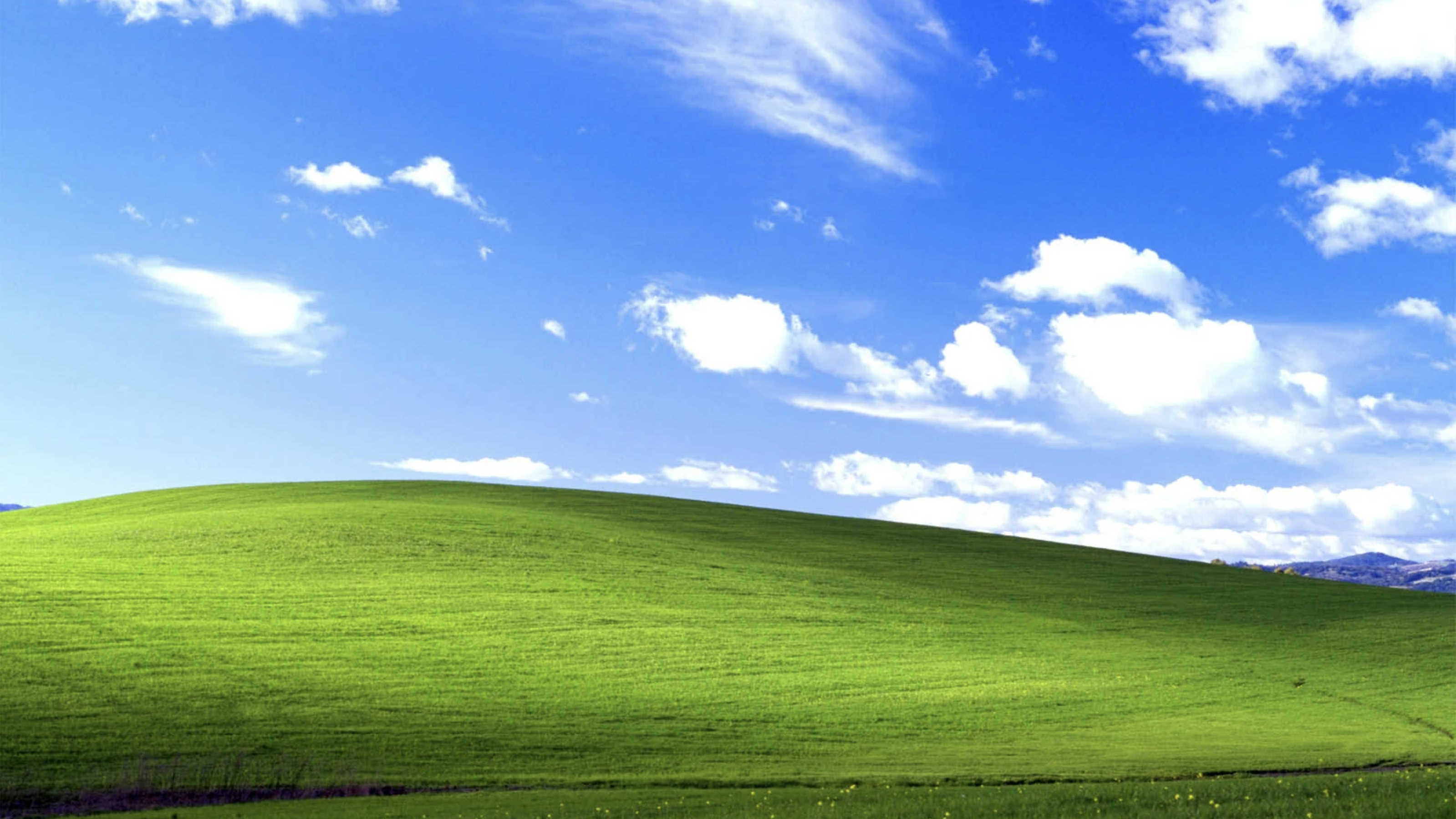 Windows XP image 