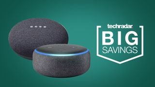 does echo dot work with nest