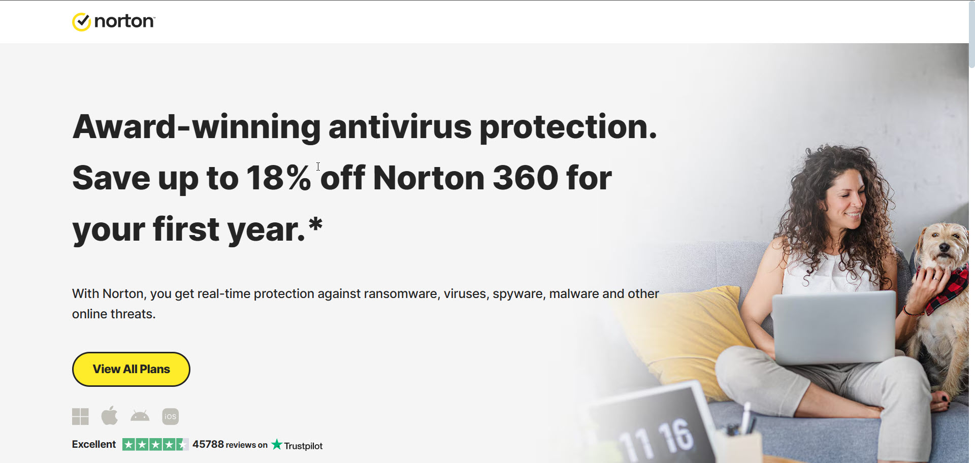 Norton is an excellent alternative to McAfee