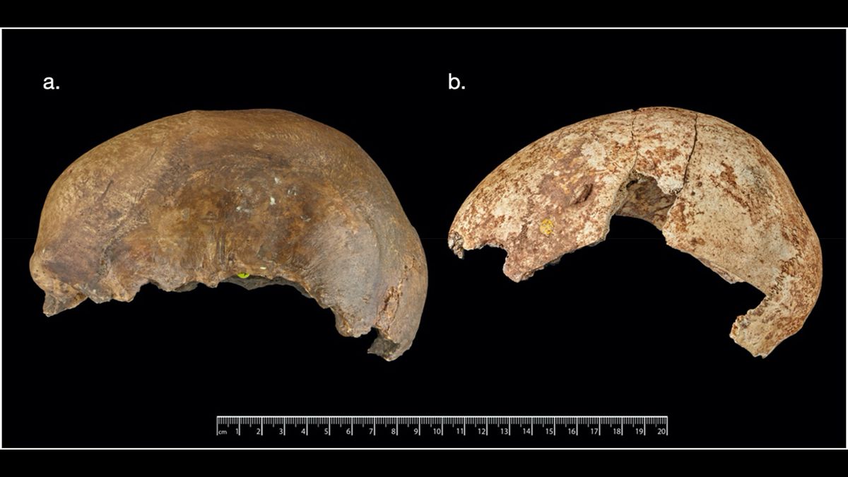 Cannibalism was a common funerary rite in northwest Europe near