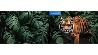 Adobe AI in Photoshop; an image of a tiger has its background tweaked