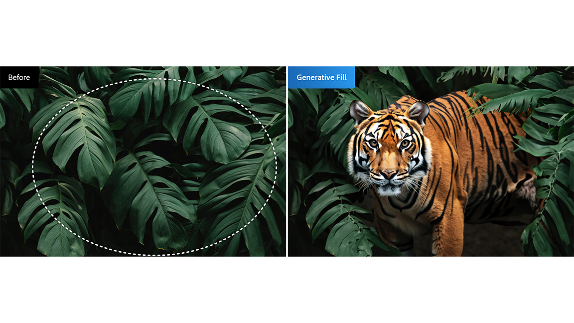 Adobe AI in Photoshop; an image of a tiger has its background tweaked
