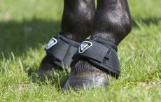 Tri-Zone overreach boots review