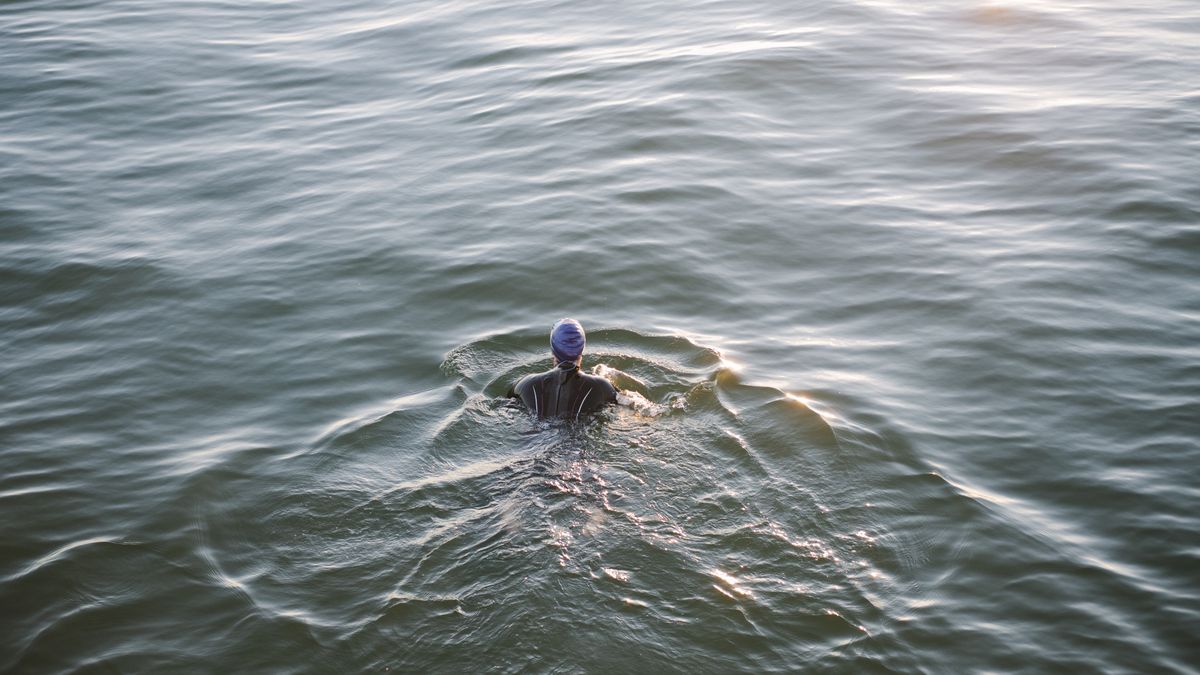 A wild swimmer in open water