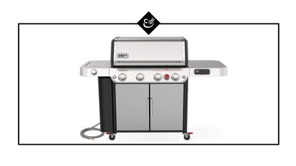 Weber Genesis spx 435 image on white Homes & Gardens graphic