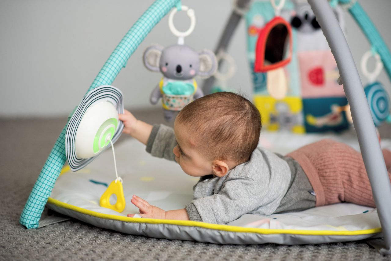 Taf Toys Baby Gym