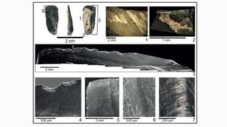Extraordinarily well preserved bladelet showing microscopic evidence of a bone handle, plant fibres used for binding, and plant polish produced by whittling action