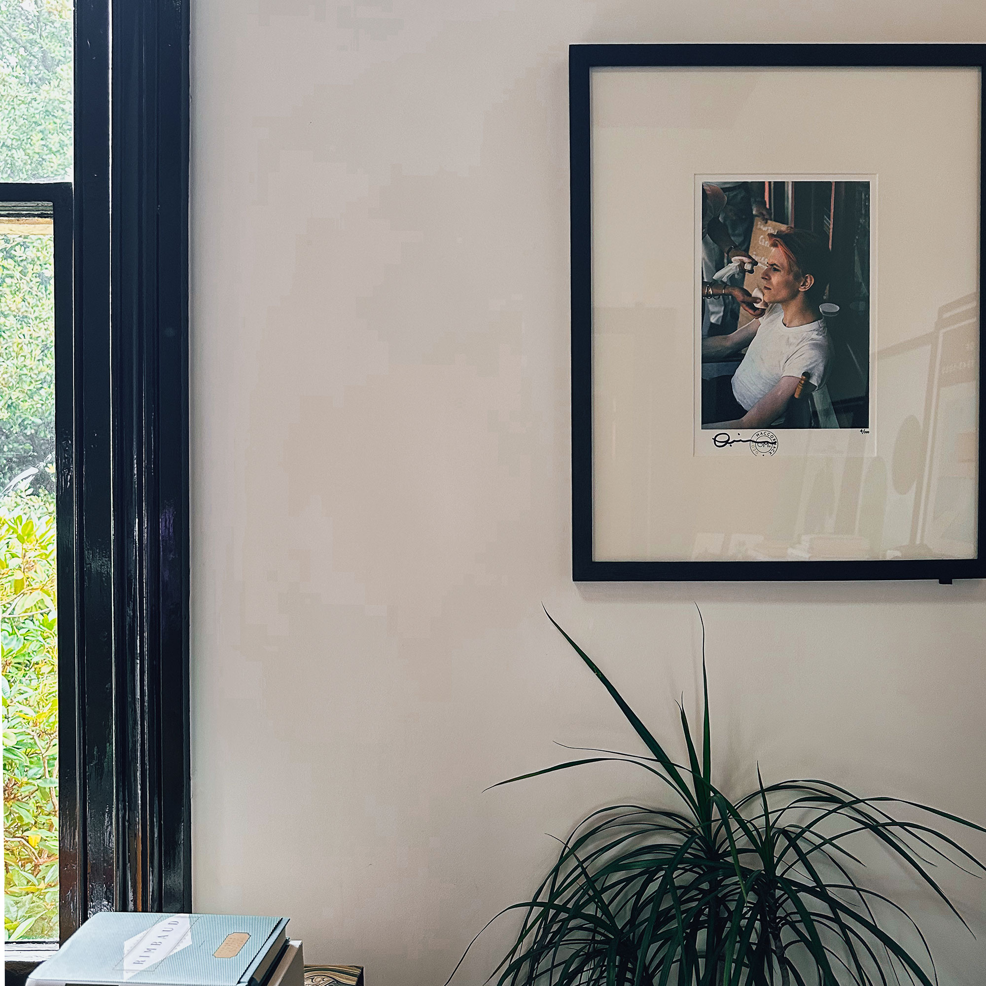 Framed photo of David Bowie hanging on wall above plant