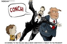 Political Cartoon