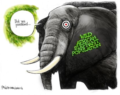 Political cartoon world African elephant trophy ban