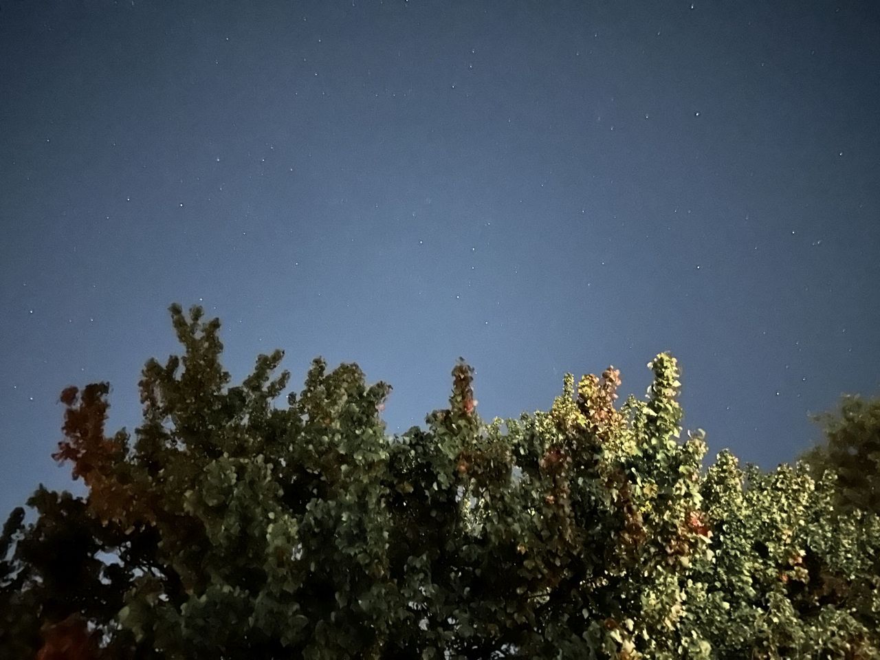 Apple iPhone 14 Pro Max camera sample.