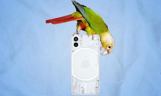 A render of the Nothing Phone (1) from the back, with a parrot perched on top of it