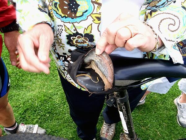 Poz's seat didn't fare too well.