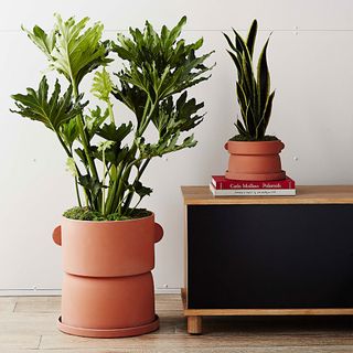 a pair of planters and a sideboard